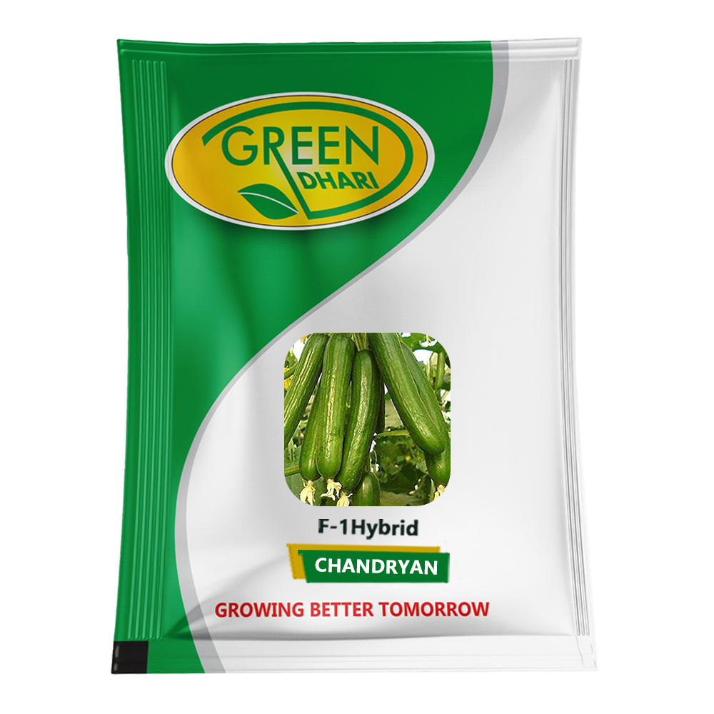 Chandryan – 1 Packet