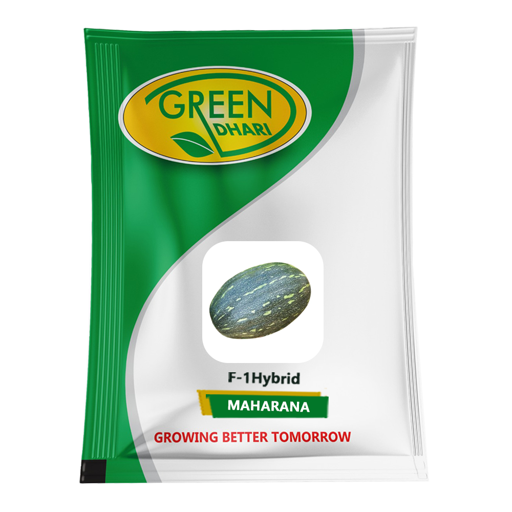 Maharana – 50g