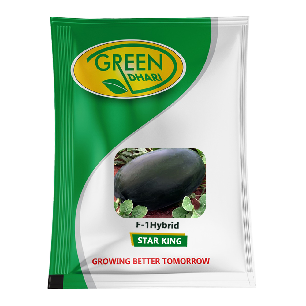 Star King - 50g