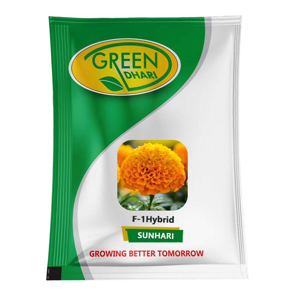 Sunhari – 1000 Seeds
