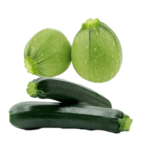 Summer Squash