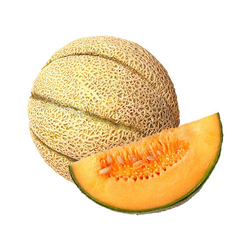 Muskmelon Seeds