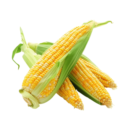 Sweetcorn Seeds
