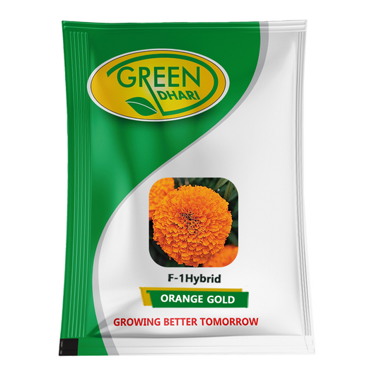 Orange Gold – 1000 Seeds