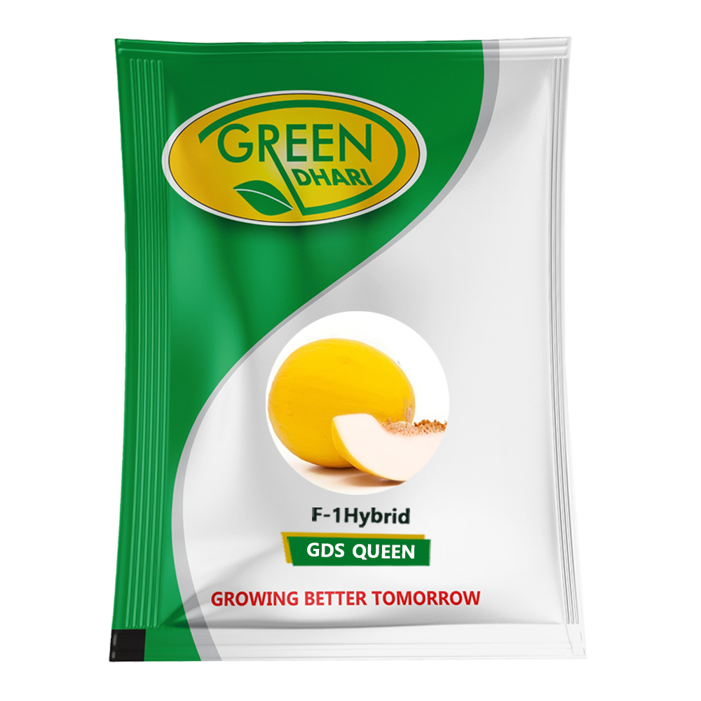 Gds-queen – 50g