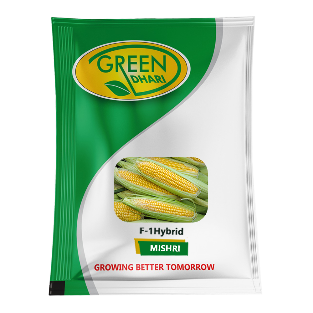 Mishri -100g