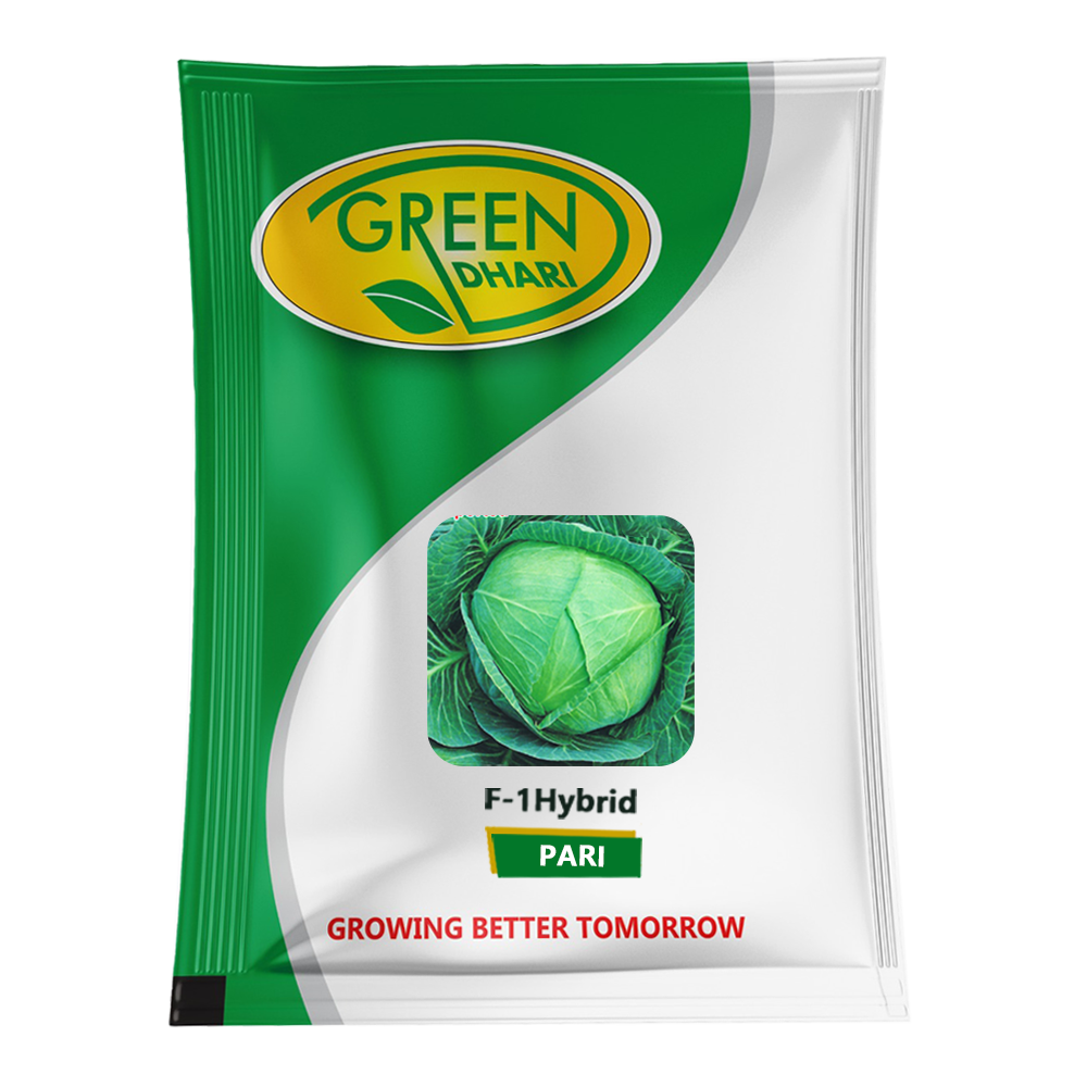 Pari – 10g
